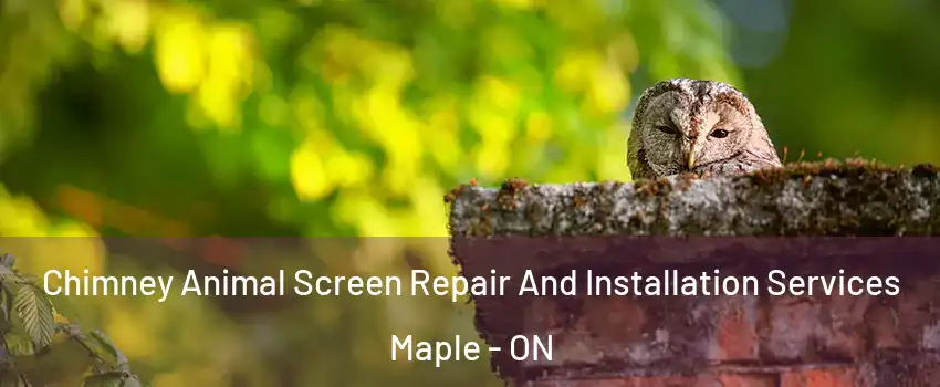  Chimney Animal Screen Repair And Installation Services Maple - ON