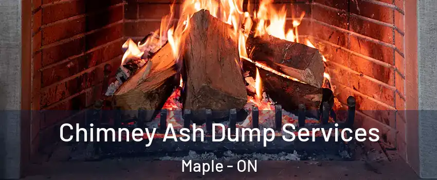  Chimney Ash Dump Services Maple - ON