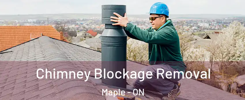  Chimney Blockage Removal Maple - ON