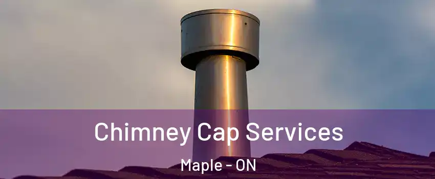  Chimney Cap Services Maple - ON