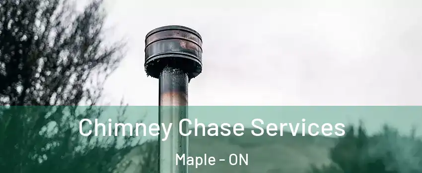  Chimney Chase Services Maple - ON