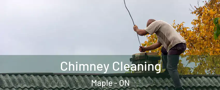  Chimney Cleaning Maple - ON