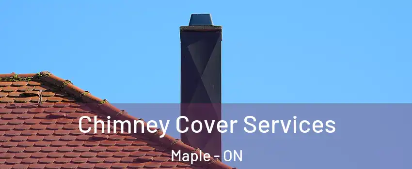  Chimney Cover Services Maple - ON