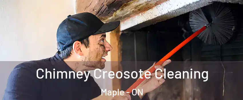  Chimney Creosote Cleaning Maple - ON