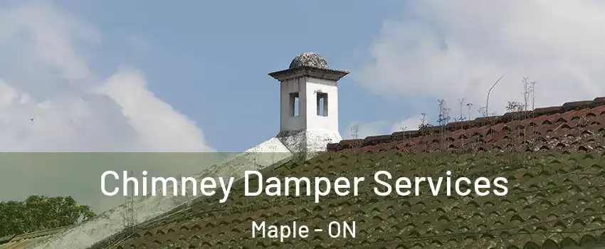  Chimney Damper Services Maple - ON