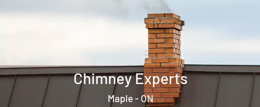 Chimney Experts Maple - ON