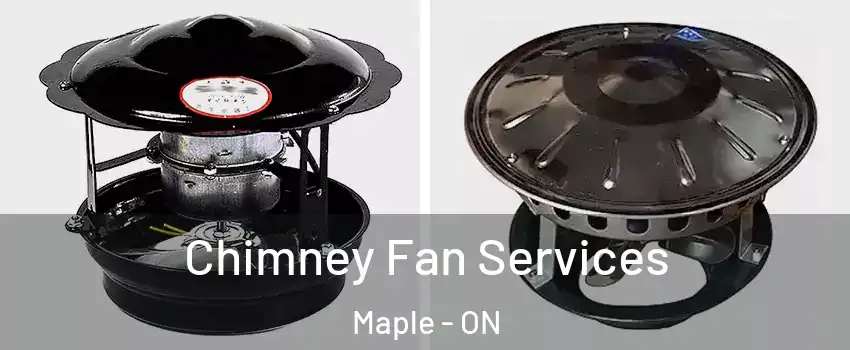  Chimney Fan Services Maple - ON