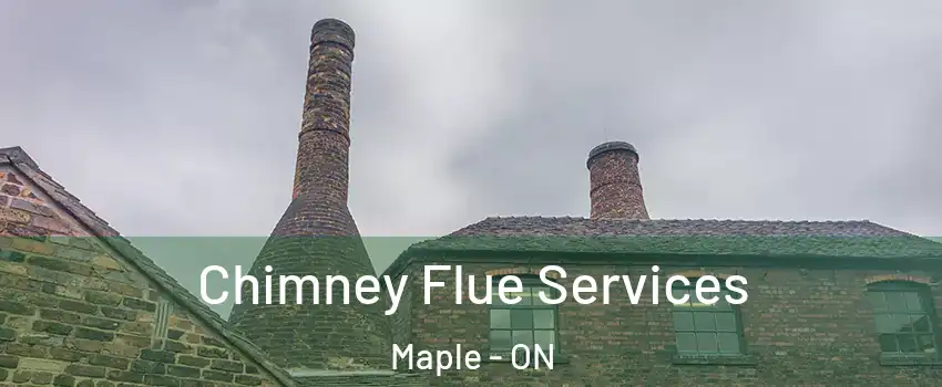  Chimney Flue Services Maple - ON