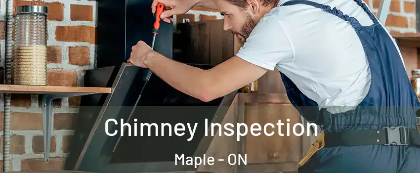  Chimney Inspection Maple - ON