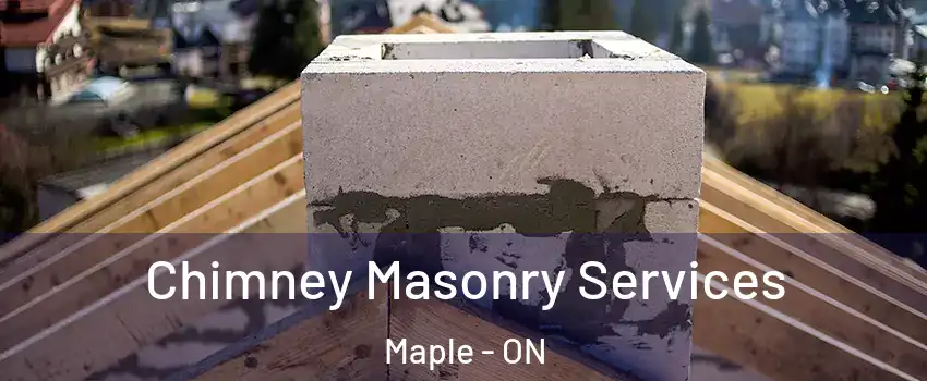  Chimney Masonry Services Maple - ON