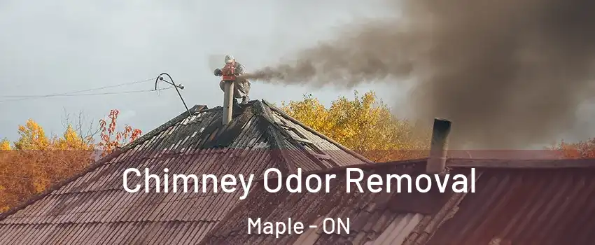  Chimney Odor Removal Maple - ON