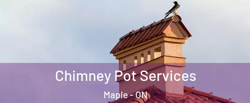  Chimney Pot Services Maple - ON