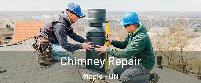  Chimney Repair Maple - ON