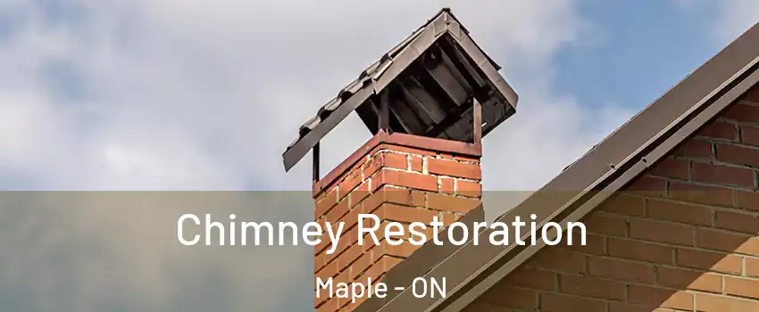  Chimney Restoration Maple - ON