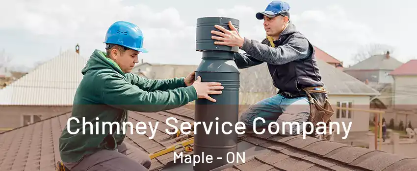  Chimney Service Company Maple - ON