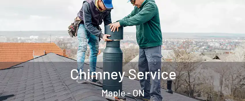  Chimney Service Maple - ON