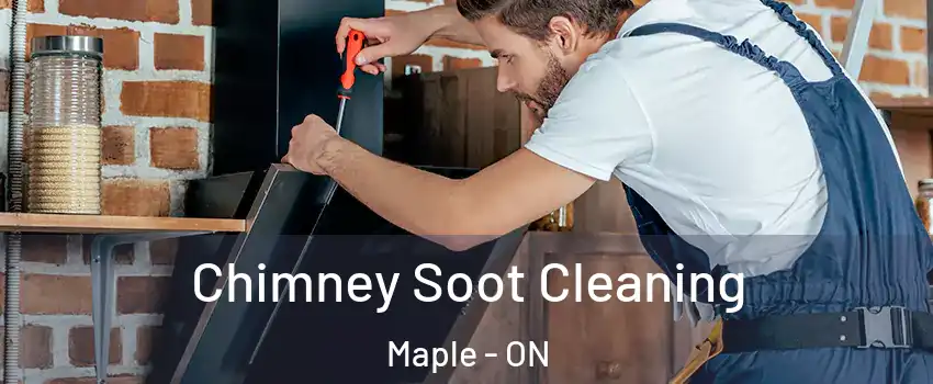  Chimney Soot Cleaning Maple - ON