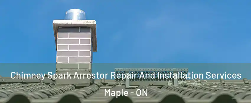  Chimney Spark Arrestor Repair And Installation Services Maple - ON