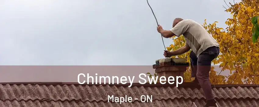  Chimney Sweep Maple - ON