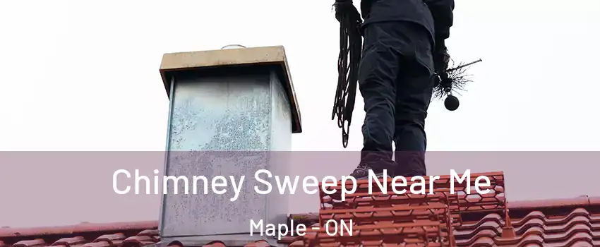  Chimney Sweep Near Me Maple - ON