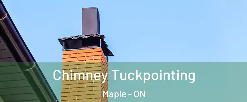  Chimney Tuckpointing Maple - ON