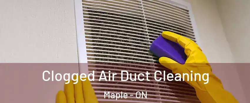  Clogged Air Duct Cleaning Maple - ON
