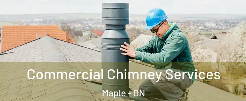  Commercial Chimney Services Maple - ON