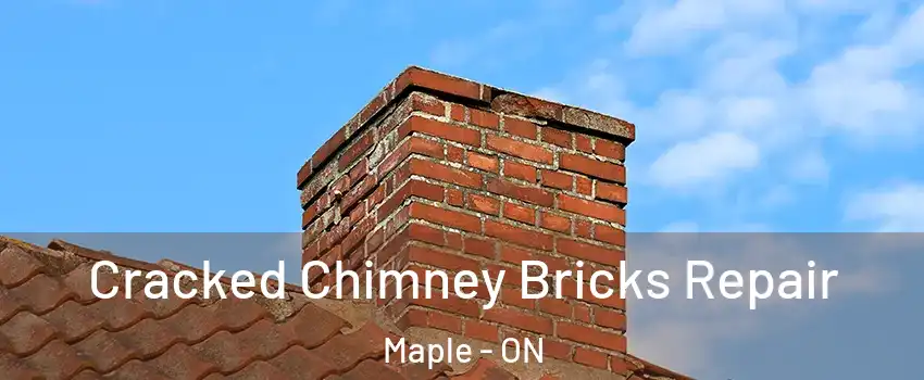  Cracked Chimney Bricks Repair Maple - ON