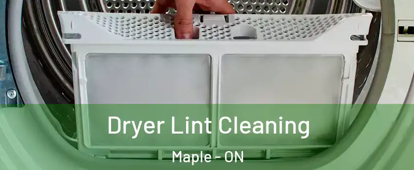  Dryer Lint Cleaning Maple - ON
