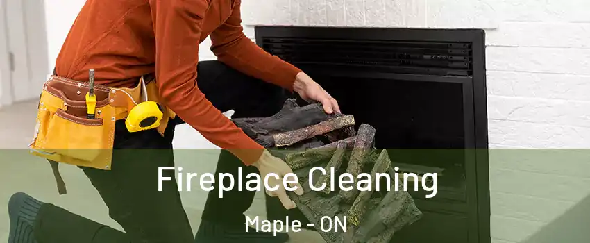 Fireplace Cleaning Maple - ON