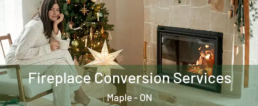  Fireplace Conversion Services Maple - ON