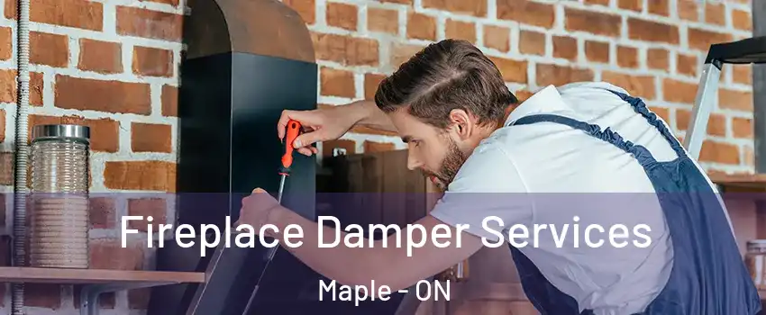  Fireplace Damper Services Maple - ON