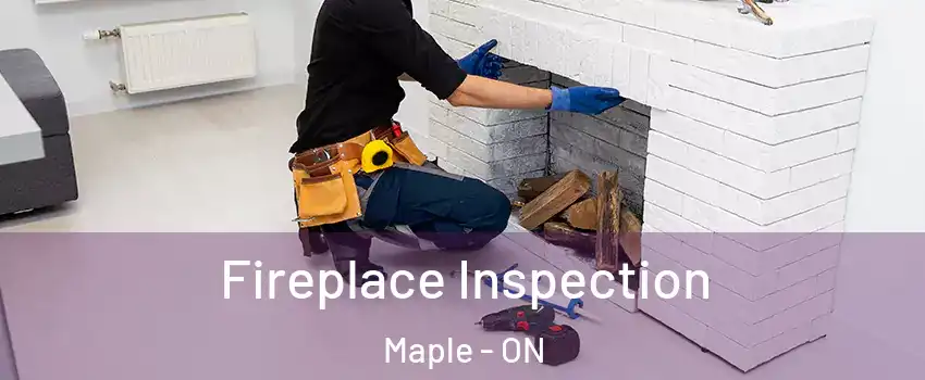  Fireplace Inspection Maple - ON