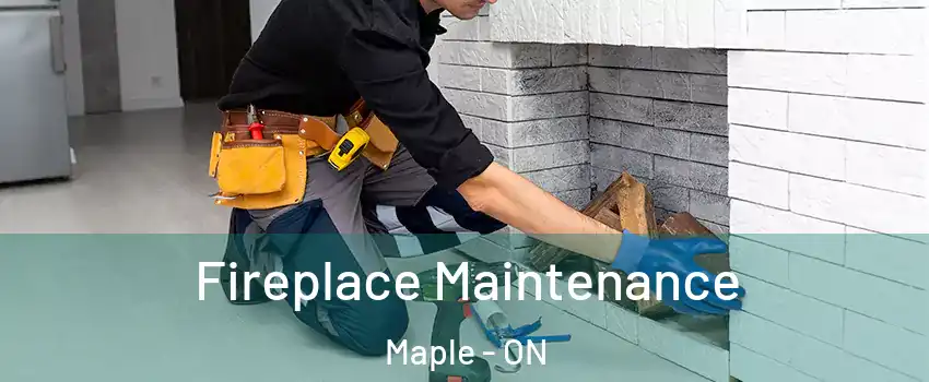  Fireplace Maintenance Maple - ON