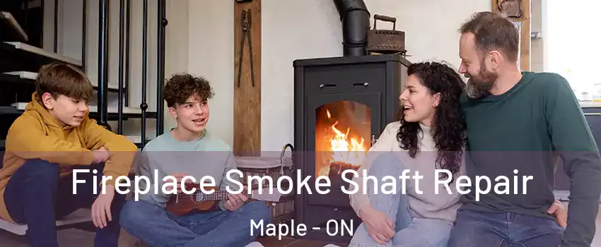  Fireplace Smoke Shaft Repair Maple - ON