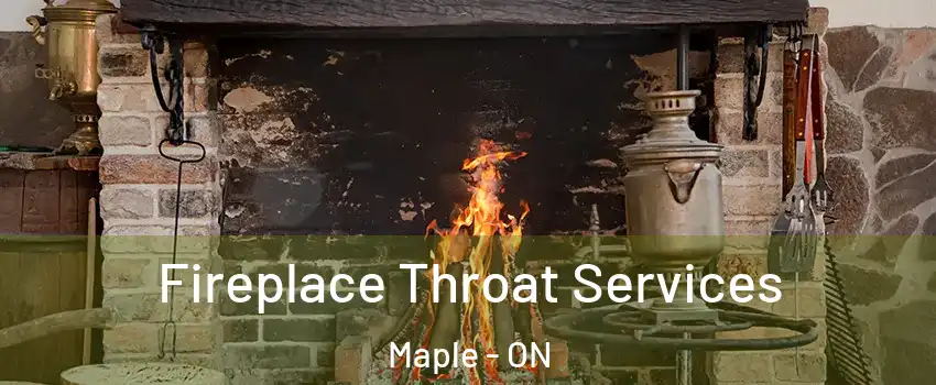  Fireplace Throat Services Maple - ON