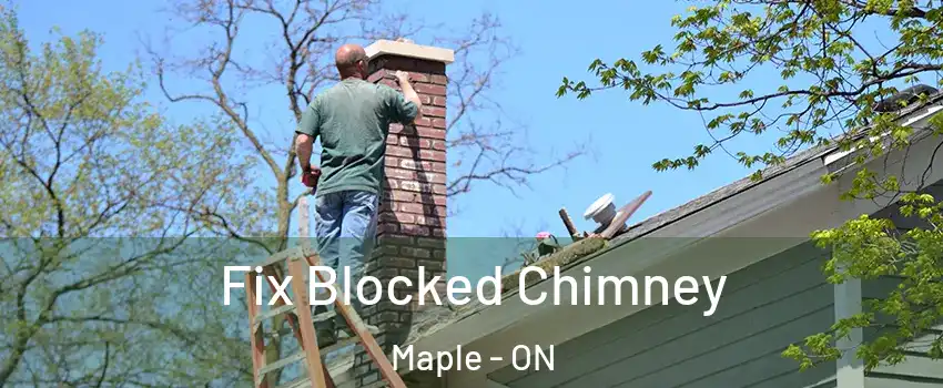  Fix Blocked Chimney Maple - ON