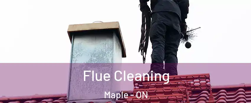  Flue Cleaning Maple - ON