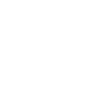 Professional Chimney Flue Installation in Maple, Ontario