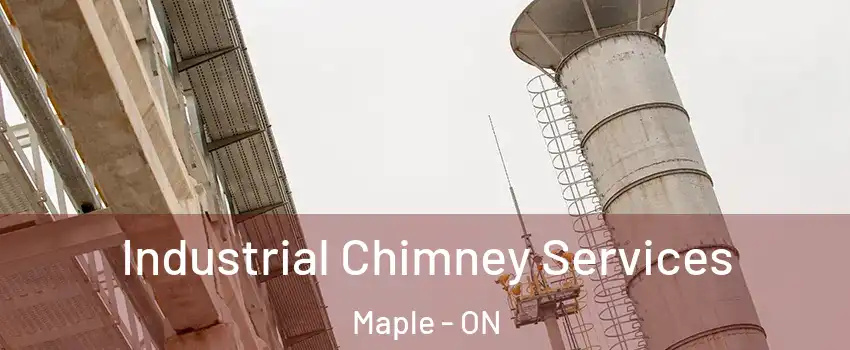  Industrial Chimney Services Maple - ON
