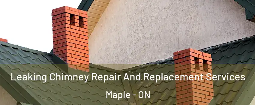  Leaking Chimney Repair And Replacement Services Maple - ON