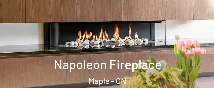  Napoleon Fireplace Maple - ON