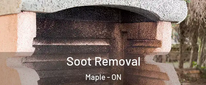  Soot Removal Maple - ON