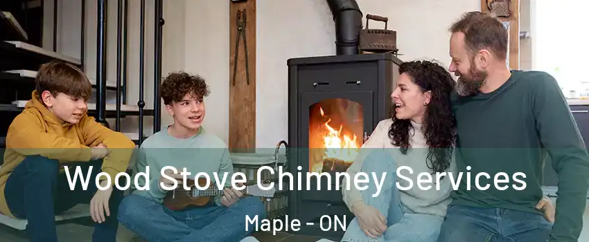  Wood Stove Chimney Services Maple - ON